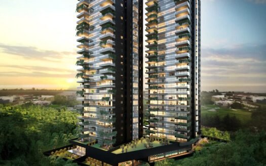 Sky View