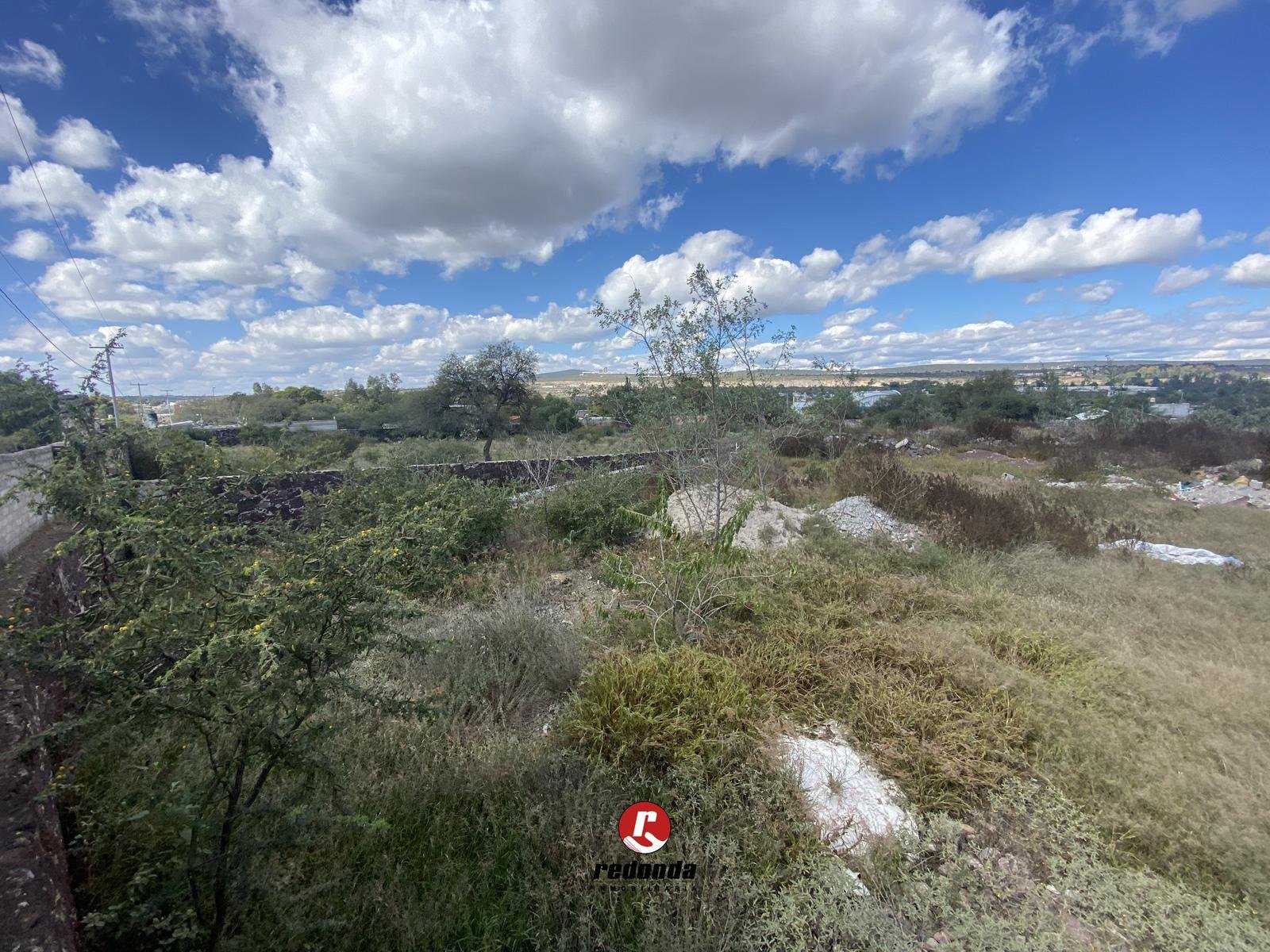 Saldarriaga