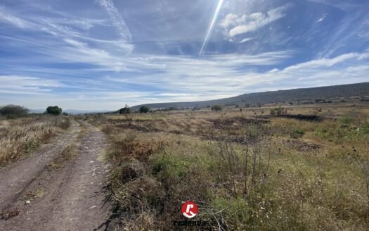 Las Cruces