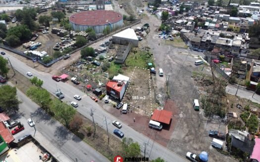 Bosques de Morelos