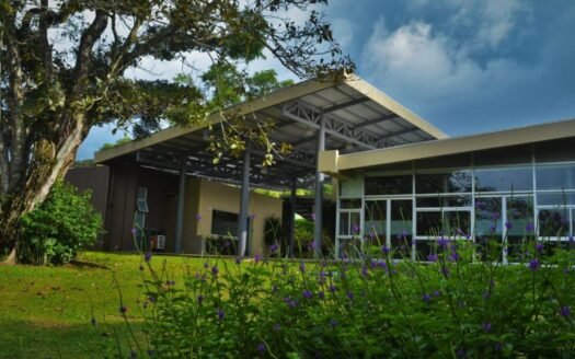 Propiedades Ecológicas.