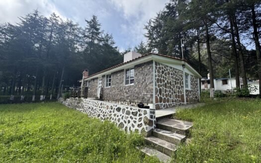 San Jose de los Encinos