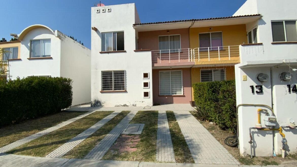 video image
