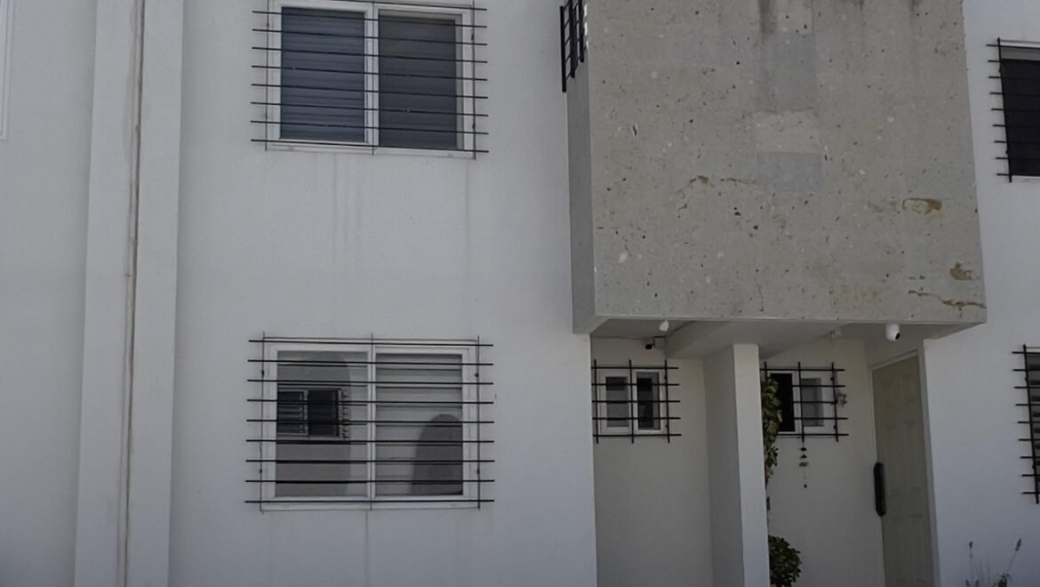 video image