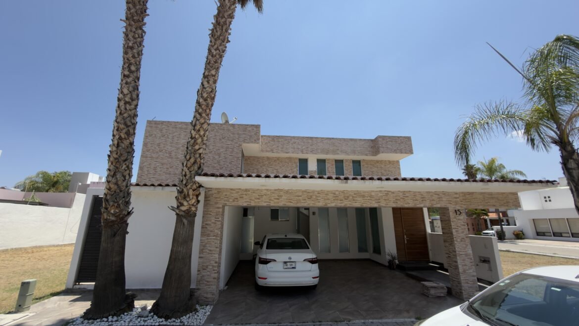 video image