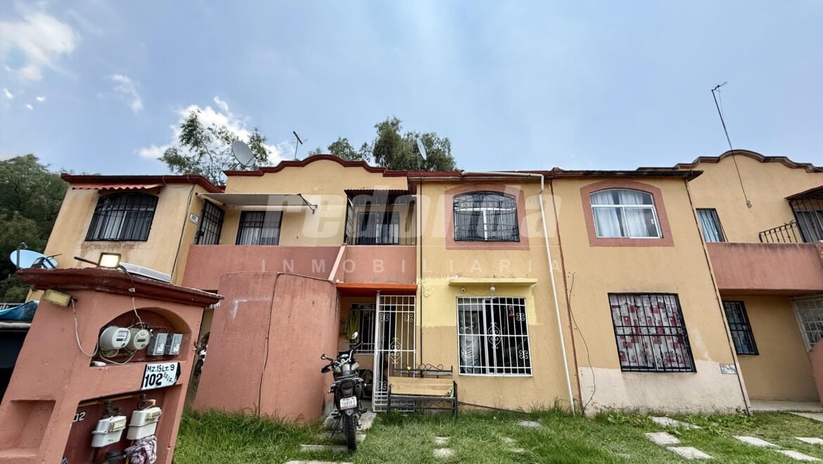 video image