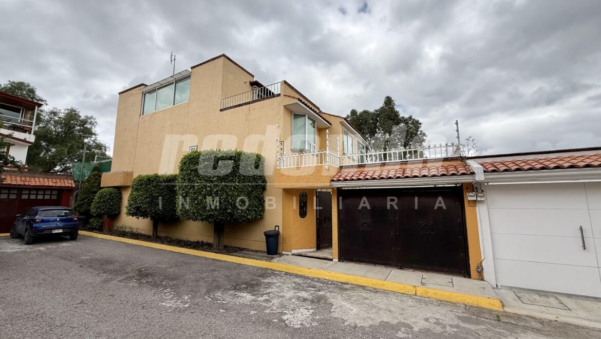 imagen de video