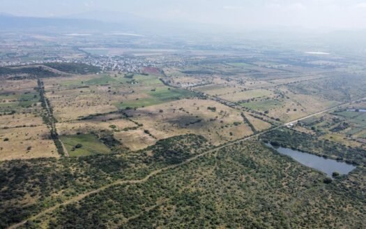 LAS CRUCES